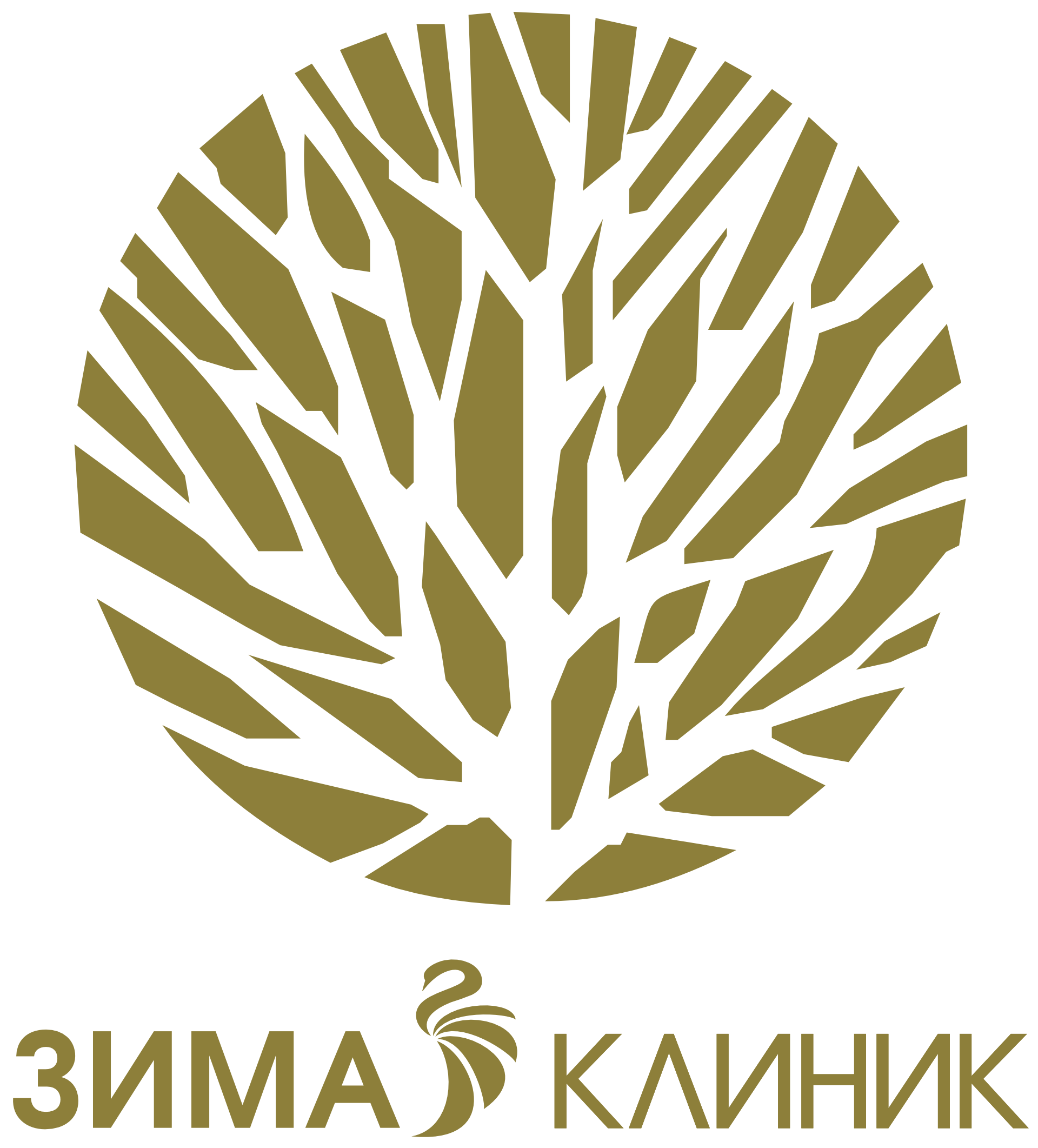 зимаклиник